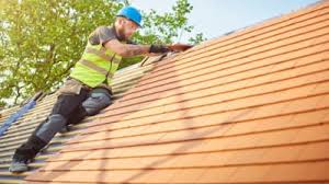 Best Roof Moss and Algae Removal  in Coal Grove, OH