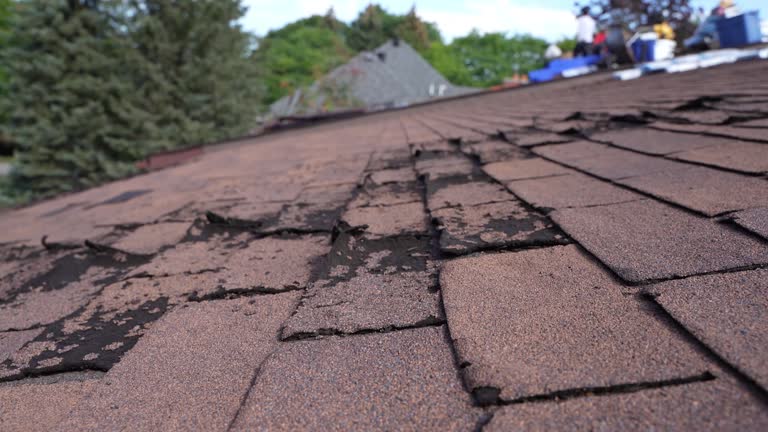 Best Roof Leak Repair  in Coal Grove, OH