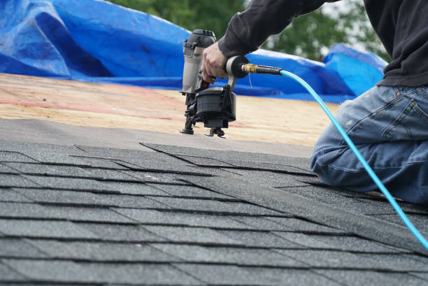 Best Roof Leak Repair  in Coal Grove, OH