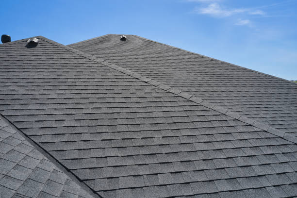 Best Roof Maintenance and Cleaning  in Coal Grove, OH