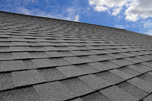 Best Storm Damage Roof Repair  in Coal Grove, OH